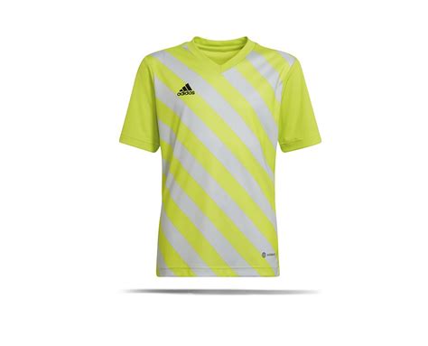 adidas entrada 22 gfx trikot grün grau|adidas Entrada 22 GFX Trikot .